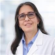 enseñanza del idioma español en forma on-line