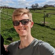 Joe