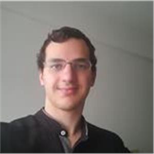 Metin Ege Aral