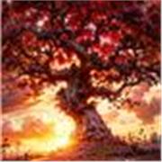 Clases online, materias generales, enseñanza básica y media