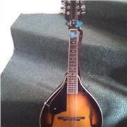 Online tutor, life sciences and ICT