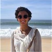 Kompetente Nachhilfe in Mathematik oder Informatik für alle Schulstufen