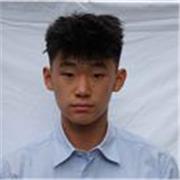 High achieving GCSE looking student looking to help those taking the 11 Plus