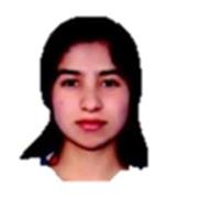 Clases de educación ambiental