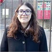 Insegnante per lezioni private di Ripetizioni (scuole elementari)