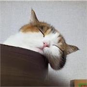 Clases virtuales para niños, jóvenes o adultos que tengan 0 conocimiento en el idioma o quieran reforzar sus habilidades