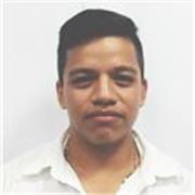 Maestro de apoyo escolar de manera virtual