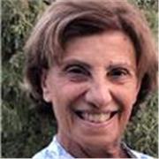 Prof d’arabe natif donne cours en ligne pour débutant.