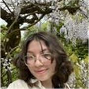 Prof d’anglais de collège, lycée, université et au-delà, diplômé en sciences humaines par le Université de Louisville.