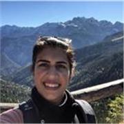 Nachhilfelehrer für ausländische Schüler