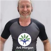 Ant