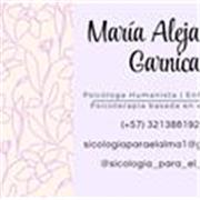 bienestar emocional

Docente online en Psicología – Acompañamiento y educación emocional