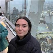 Doy clases particulares de inglés avanzadas y otras asignaturas a nivel escolar