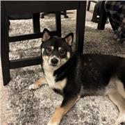 Yuki
