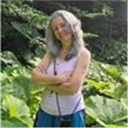Mentoring in Life Field, Personal Development Program creator