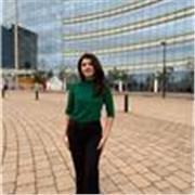 I am a native English speaker with a high GCSE English grade, can communicate swiftly and have plenty of teaching experience