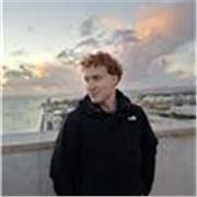 laureato in sicenze dell'antichità offre lezioni di latino e greco