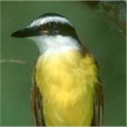 Portuguese Classes for English Speakers