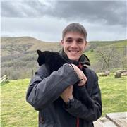 Profesor particular de lo que sea, tanto para primaria como para la eso o bachillerato