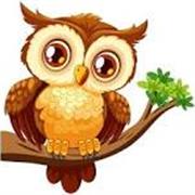 Professor particular, com experiência em sala de aula, principalmente ensino fundamental e ensino médio