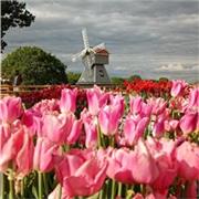 Passionate to teach little kids whom I'm always happy to be around