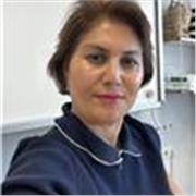 Englische und Russisch Lehrerin und ich kann in allem Gruppen arbeiten