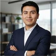 Profesor de Matemáticas para primaria, secundaria y apoyo universitario