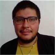 Profesor en arte, diseno y comunicacion grafica virtual