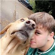 Bailey