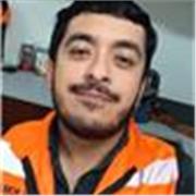 Maestro de español con licenciatura e ingeniería titulado