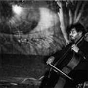 Docente di musica (violoncello e canto) impartisce lezioni di teoria musicale