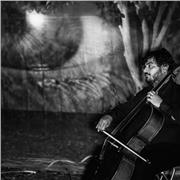 Docente di musica (violoncello e canto) impartisce lezioni di teoria musicale