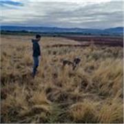 Clases particulares de Excel