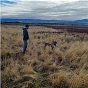 Clases particulares de Excel