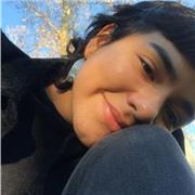 Apoyo en materias relacionadas con artes y diseño