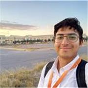 Profesor de matemáticas y física y clases particulares de regularización de matemáticas en línea y área metropolitana