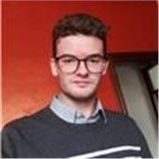 Studente di ingegneria impartisce ripetizioni per studenti di liceo, istituti tecnici e professionali in materie quali: matematica, economia aziendale, fisica ed inglese
