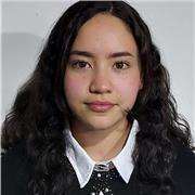 Doy asesoría en el idioma Inglés, puedo dar clases virtuales