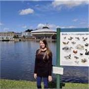 York Music graduate with five years experience in Music and English teaching - working online and around York 