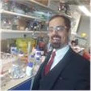 Science, maths & computer science online tutor