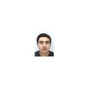 Faysel