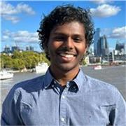 Maths Tutor for all stages up to A-Level
