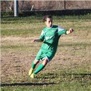 Offro lezioni di inglese a studenti ed adulti.