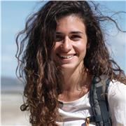 Laureata magistrale offre lezioni e ripetizioni di inglese ONLINE per tutti i livelli