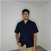 Profesor de en inglés, trabajos escritos y preparación para ICFES
