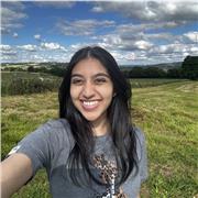 Private maths tutor with A* and B in GCSE a level maths