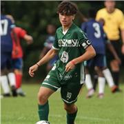 Aulas remotas de matemática para ensino fundamental, atualmente cursando estatística na Unicamp. Uma hora de aula por R$100,00