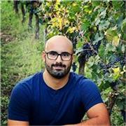 Dottore in Fisica offre lezioni private a studenti delle scuole superiori ed universitari