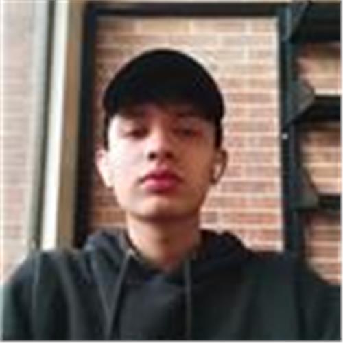 user photo
