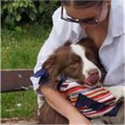 Laureata e con esperienza di insegnamento offre ripetizioni